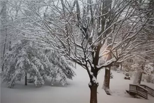 172 Maryal Dr, Pittsburgh, PA 15236 - Photo 44