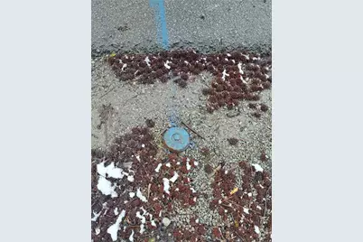 131 Hopwood-Coolspring Rd, North Union Township, PA 15445 - Photo 10