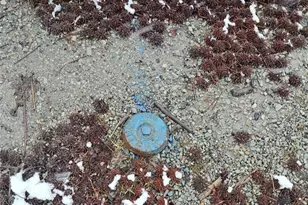 131 Hopwood Coolspring Rd, North Union Township, PA 15445 - Photo 10