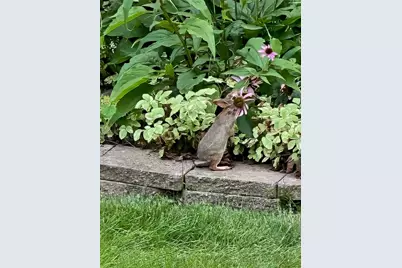 807 Cambridge Dr, Collier Township, PA 15142 - Photo 40