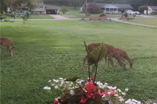 2072 Boyd School Rd, Shenango Township, PA 16157 - Photo 44