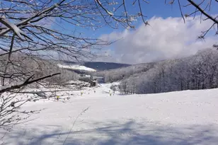 1216 Veech Ln, Hidden Valley, PA 15502 - Photo 36