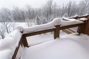 112 Southwind Dr, Seven Springs, PA 15622 - Photo 34