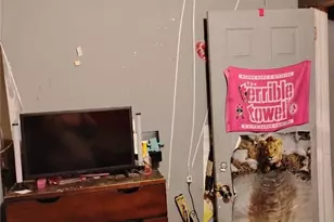 313 Jefferson St, Oil City, PA 16301 - Photo 14