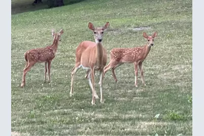 501 Nowrytown Road, Conemaugh-Yough Townships, PA 15681 - Photo 50