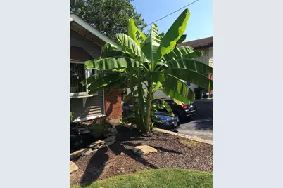 422 Dunbar Dr., Wilkins Township, PA 15235 - Photo 4