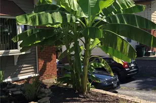 422 Dunbar Dr, Wilkins Township, PA 15235 - Photo 4