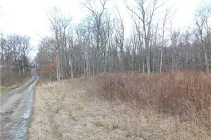 0 Hope Rd Off Hopwood Fairchance Rd, South Union Township, PA 15401 - Photo 1