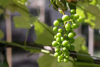 52 Timberhill Dr, Sewickley Heights, PA 15143 - Photo 46