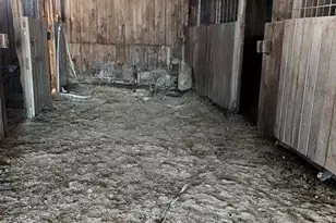 2029 Perry Hwy, Springfield Township, PA 16156 - Photo 26