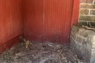 2029 Perry Hwy, Springfield Township, PA 16156 - Photo 14