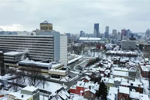 1417 Sandusky St, Pittsburgh, PA 15212 - Photo 38