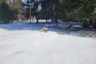 225 Buck Run Rd, Other, PA 16260 - Photo 26