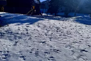 441 Monmouth Dr, Cranberry Township, PA 16066 - Photo 4