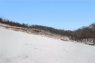 718 Old Hickory Ridge Rd, Chartiers, PA 15301 - Photo 34