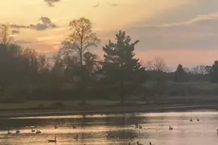 108 Oriole Dr, Derry Township, PA 15670 - Photo 50