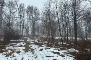 442 Bruceton Rd, Henry Clay Township, PA 15459 - Photo 1