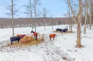 48 Zimran Dr, Canoe Banks Twp, PA 15772 - Photo 42