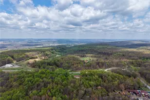 2447 Luciusboro Rd, Center Township-Homer City, PA 15748 - Photo 34