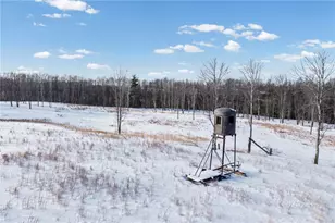 2447 Luciusboro Rd, Homer City, PA 15748 - Photo 16