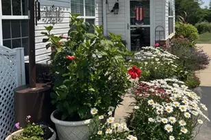 368 Saddlebrook Rd, West Deer, PA 15044 - Photo 44