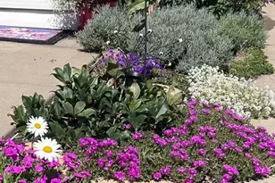 368 Saddlebrook Rd, West Deer, PA 15044 - Photo 46