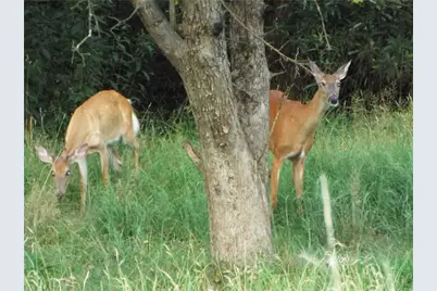 25 Linton Alley, East Bethlehem, PA 15333 - Photo 12