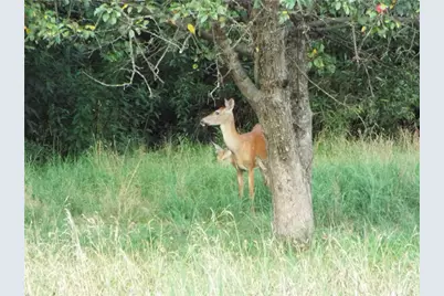 25 Linton Alley, East Bethlehem, PA 15333 - Photo 10