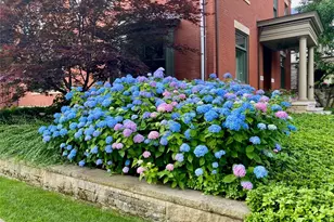 5219 Pembroke Pl, Pittsburgh, PA 15232 - Photo 4