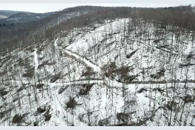 0 Jericho Rd, Wheatfield Township (East/West), PA 15949 - Photo 12