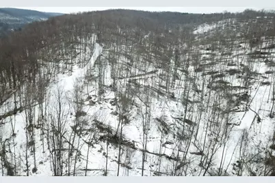 0 Jericho Rd, Wheatfield Township (East/West), PA 15949 - Photo 10