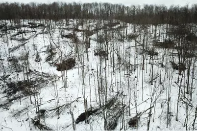 0 Jericho Rd, Wheatfield Township (East/West), PA 15949 - Photo 26