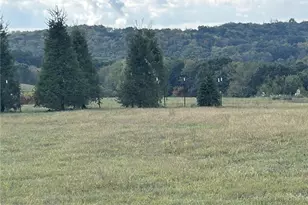 224 Morrow Rd, Chippewa Township, PA 15010 - Photo 1