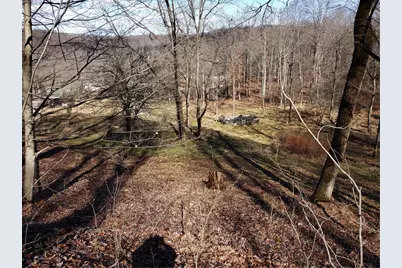 348 Frankfort Springs Drive, Hanover Township, PA 15043 - Photo 4