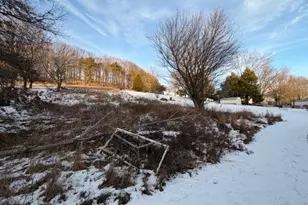 8972 Old Route 56 Hwy, Shelocta, PA 15774 - Photo 16