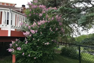 732 Somerville Dr, Pittsburgh, PA 15243 - Photo 38