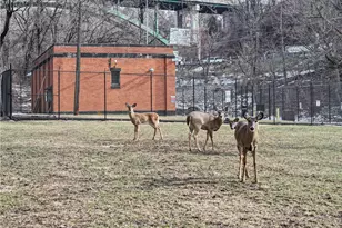 751 Naylor St, Pittsburgh, PA 15207 - Photo 22