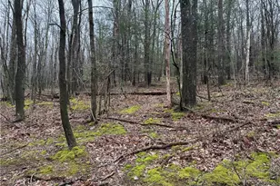 0 Club Rd, Allegheny Township, PA 15530 - Photo 1