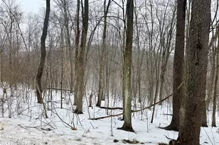 0 Cadogen Slatelick Rd, Kittanning, PA 16201 - Photo 1