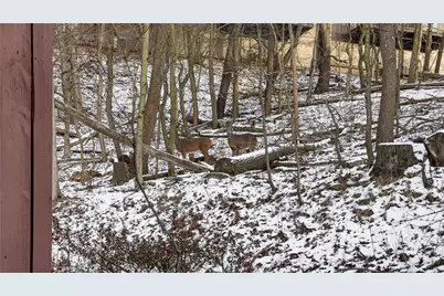 205 Woodbridge Dr., Pittsburgh, PA 15237 - Photo 22