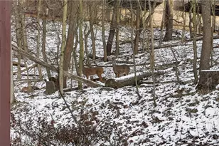 205 Woodbridge Dr, Pittsburgh, PA 15237 - Photo 22