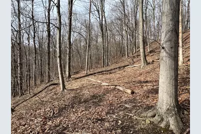 0 N Kings Creek Rd, Hanover Township, PA 15021 - Photo 22