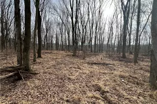 0 N Kings Creek Rd, Hanover Township, PA 15021 - Photo 1