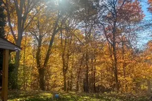 1115 Harvard Rd, Monroeville, PA 15146 - Photo 24