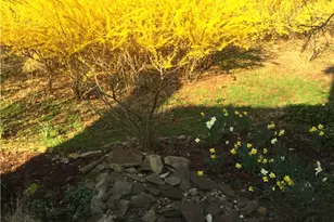 3936 Laurel Oak Cir, Murrysville, PA 15668 - Photo 40