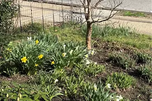 942 Kennebec, Pittsburgh, PA 15217 - Photo 26