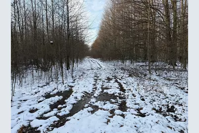 00 Borowicz Rd, Wilmington Township, PA 16142 - Photo 2