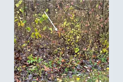 55 Dietrich, Pittsburgh, PA 15238 - Photo 20