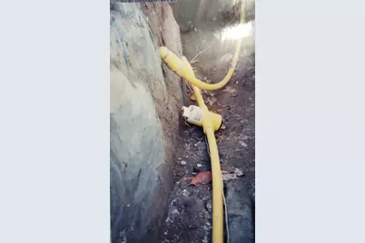 55 Dietrich, Pittsburgh, PA 15238 - Photo 30