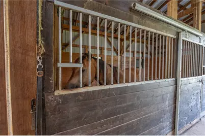 387 George Lane, Wheatfield Township (East/West), PA 15954 - Photo 36